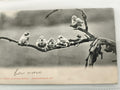 Carte postale ancienne oiseaux sur branche photo noir et blanc vintage CPA