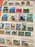 Timbres anciens MAGYAR POSTA Hongrie animaux papillons poissons lot philatélie