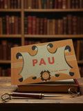 Album photo ancien PAU 12 vues artistiques rétro vintage souvenir CAP