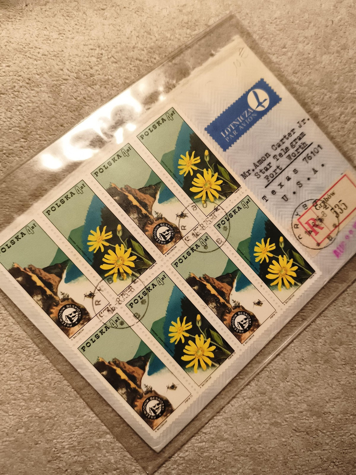 Bloc timbres Pologne POLSKA fleurs jaunes montagne oblitérés philatélie (Ref 11)