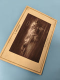 Ancienne photographie martyre chrétienne carte album P. Delaroche vintage