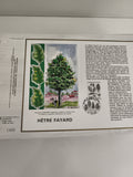 Feuillet philatélique CEF Hêtre Fayard 1989, timbre illustré arbre feuillu