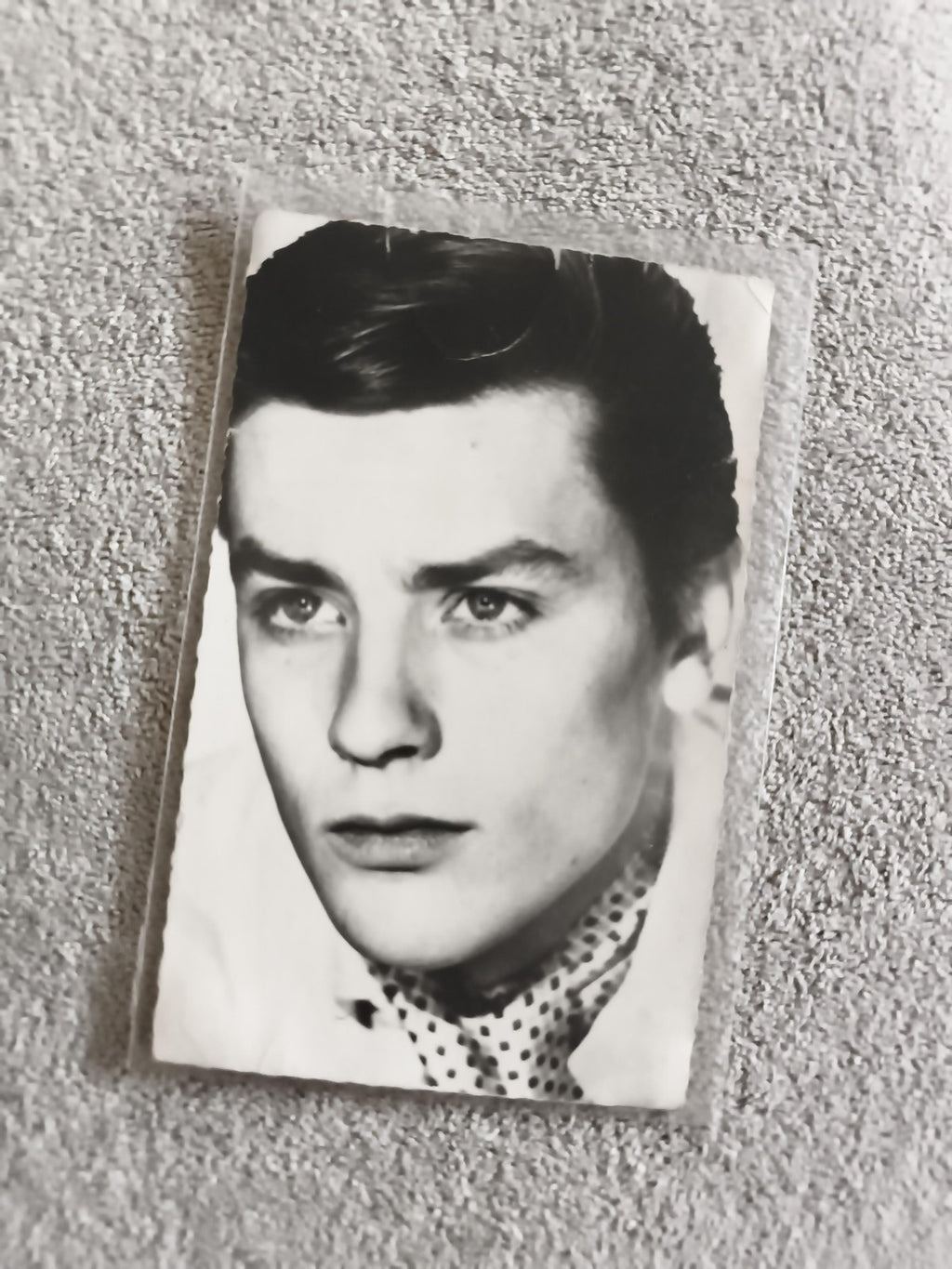 Carte photo portrait Alain Delon noir et blanc CPA photographie ancienne