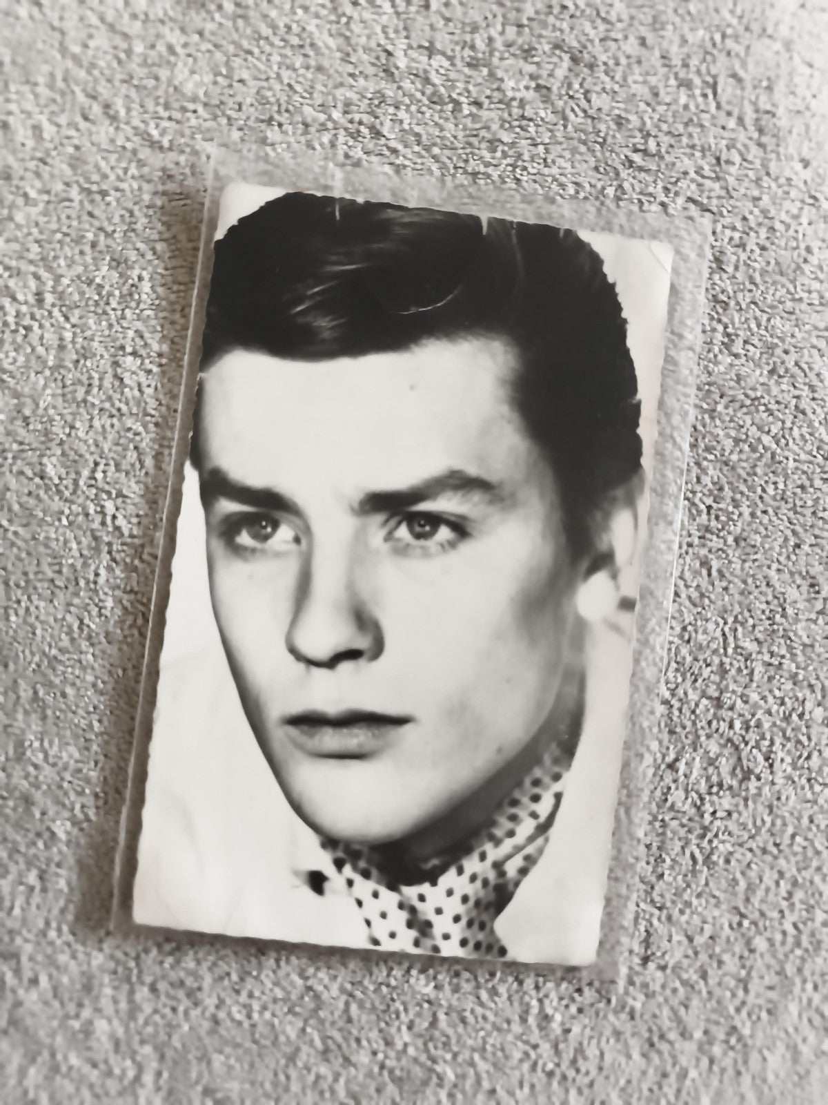 Carte photo portrait Alain Delon noir et blanc CPA photographie ancienne