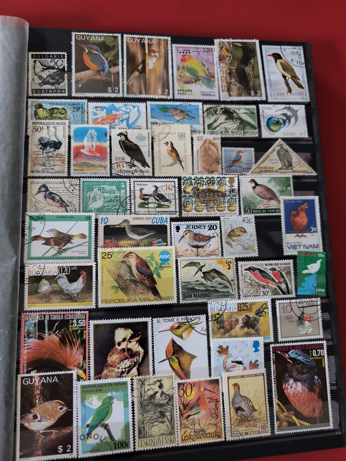Classeur ancien de timbres oiseaux du monde, collection thématique, multicolore