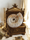 Ammonite fossile Jurassique spirale blanche beige déco minéraux coquillage