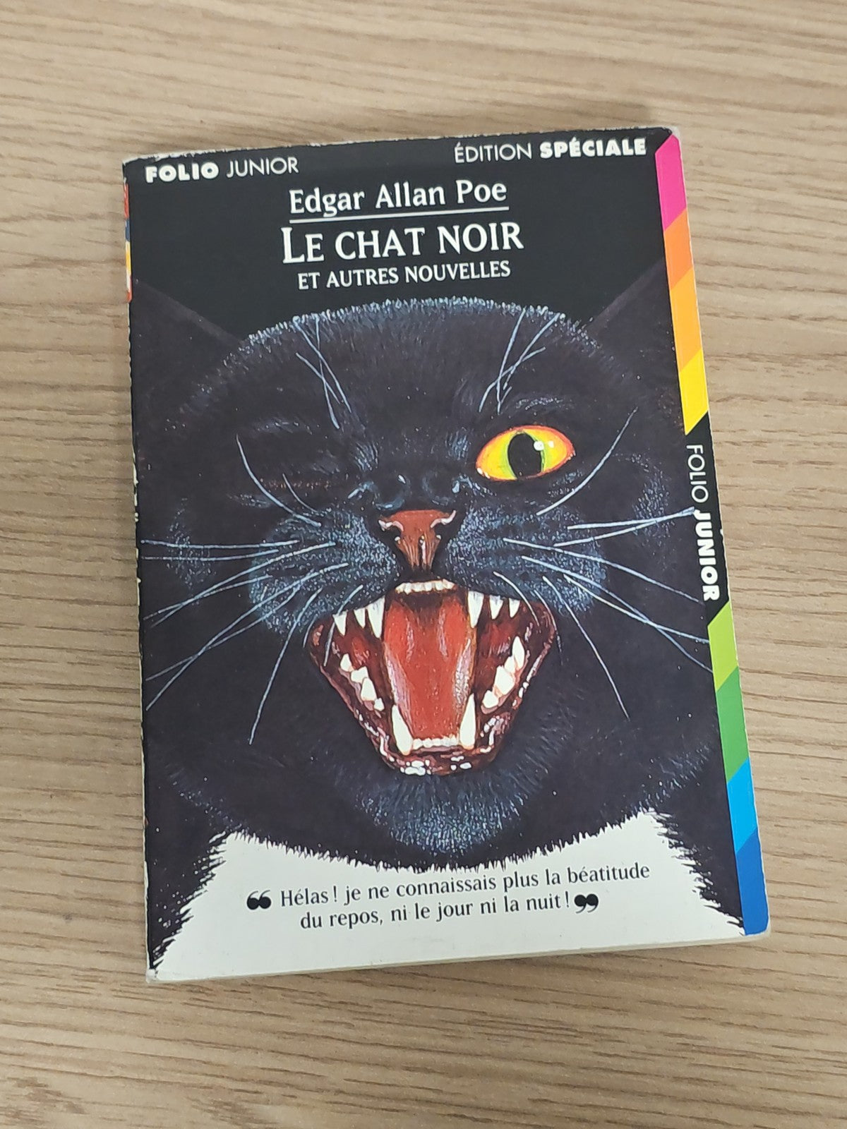 Livre Chair de Poule Le Chat Noir roman jeunesse suspense occasion français