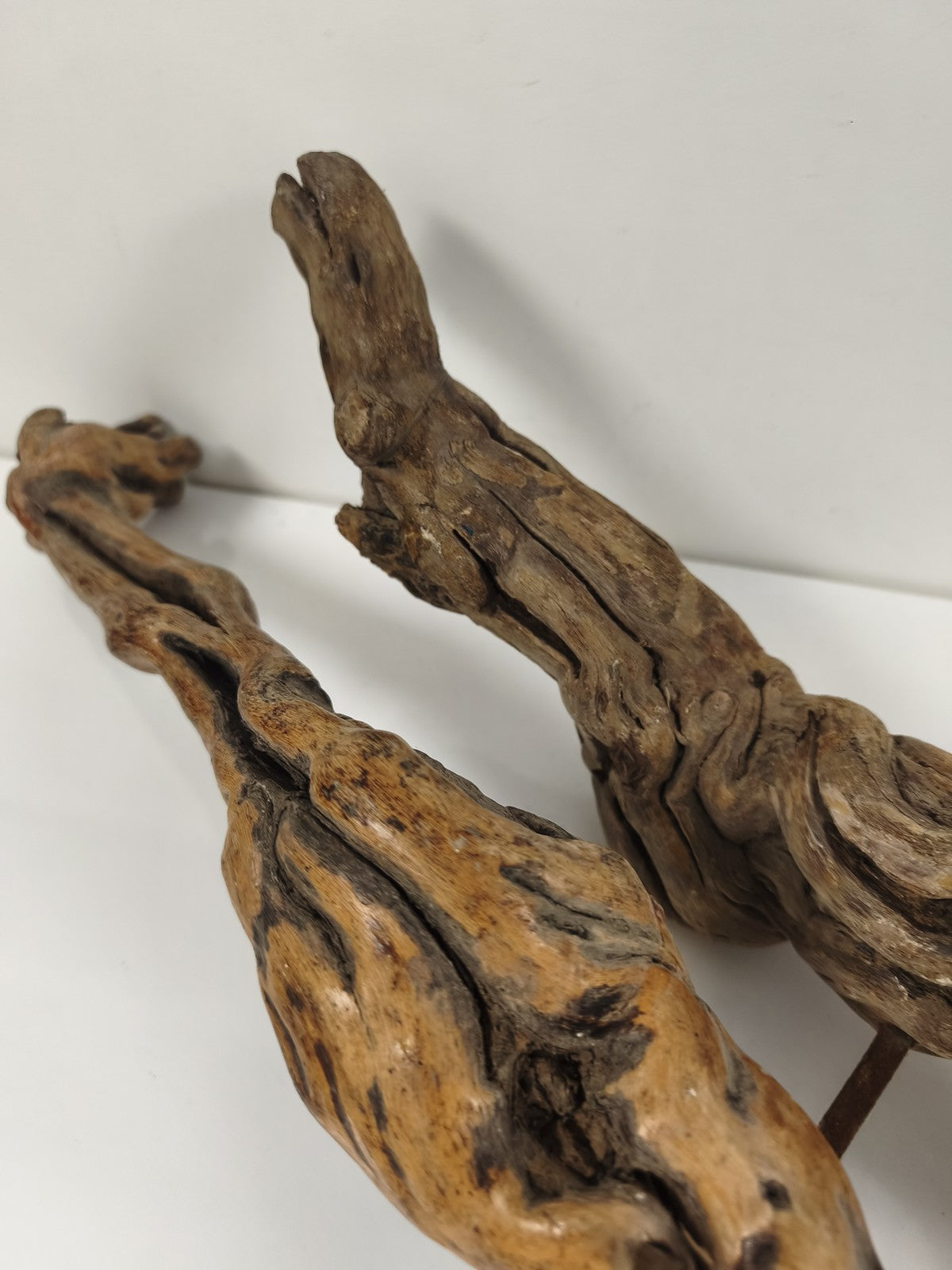 Lot de 2 grands tire-bouchons anciens en cep de vigne, vrilles acier
