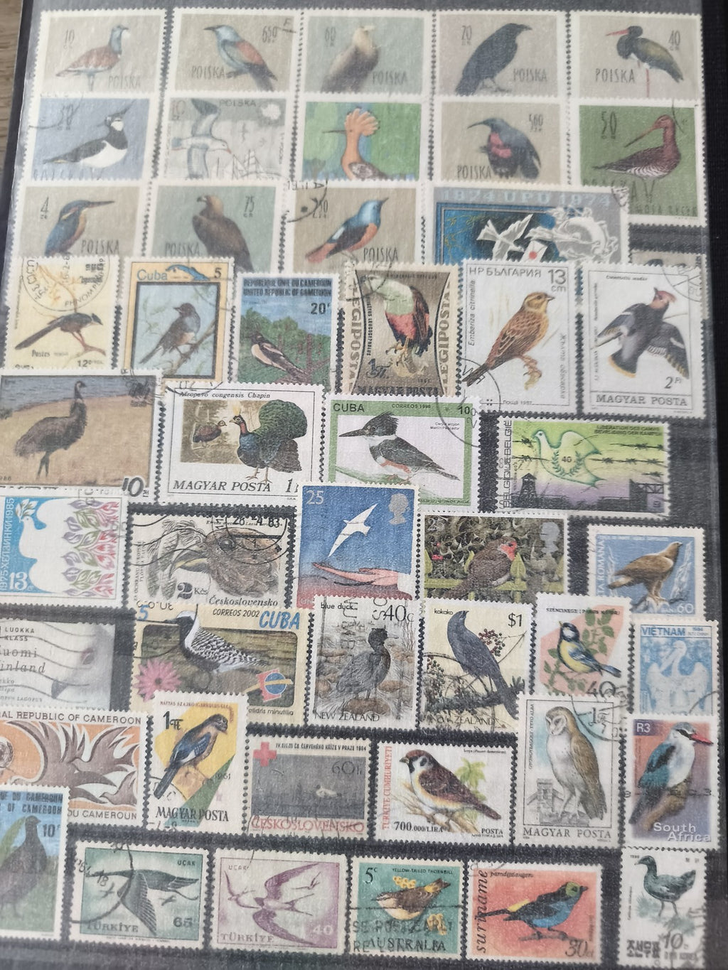 Classeur ancien de timbres oiseaux du monde, collection thématique, multicolore