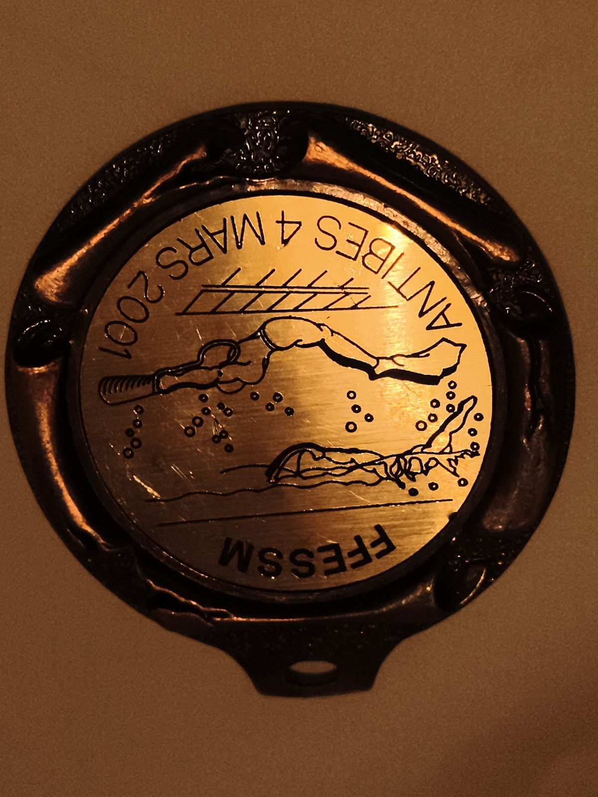 Médaille natation FFESSM Antibes 4 Mars 2001 nageur laiton doré