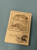 Carte postale La Loutre Buffon timbre et cachet 1988 illustration animal