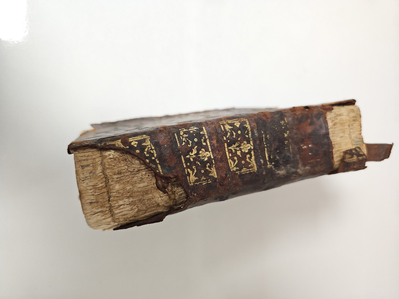 Livre ancien médecine pratique Arnault de Nobleville vintage collection rare