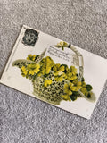 CPA 1903 panier ajouré fleurs jaunes illustration couleur Perpignan