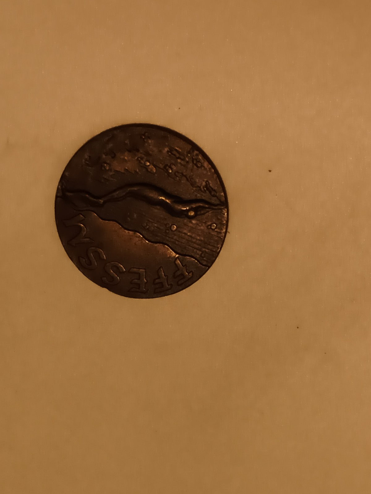 Médaille ronde aspect bronze relief, motif paysage, inscription FLESS