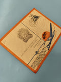Ancienne enveloppe avion timbrée oblitérée, philatélie collection vintage