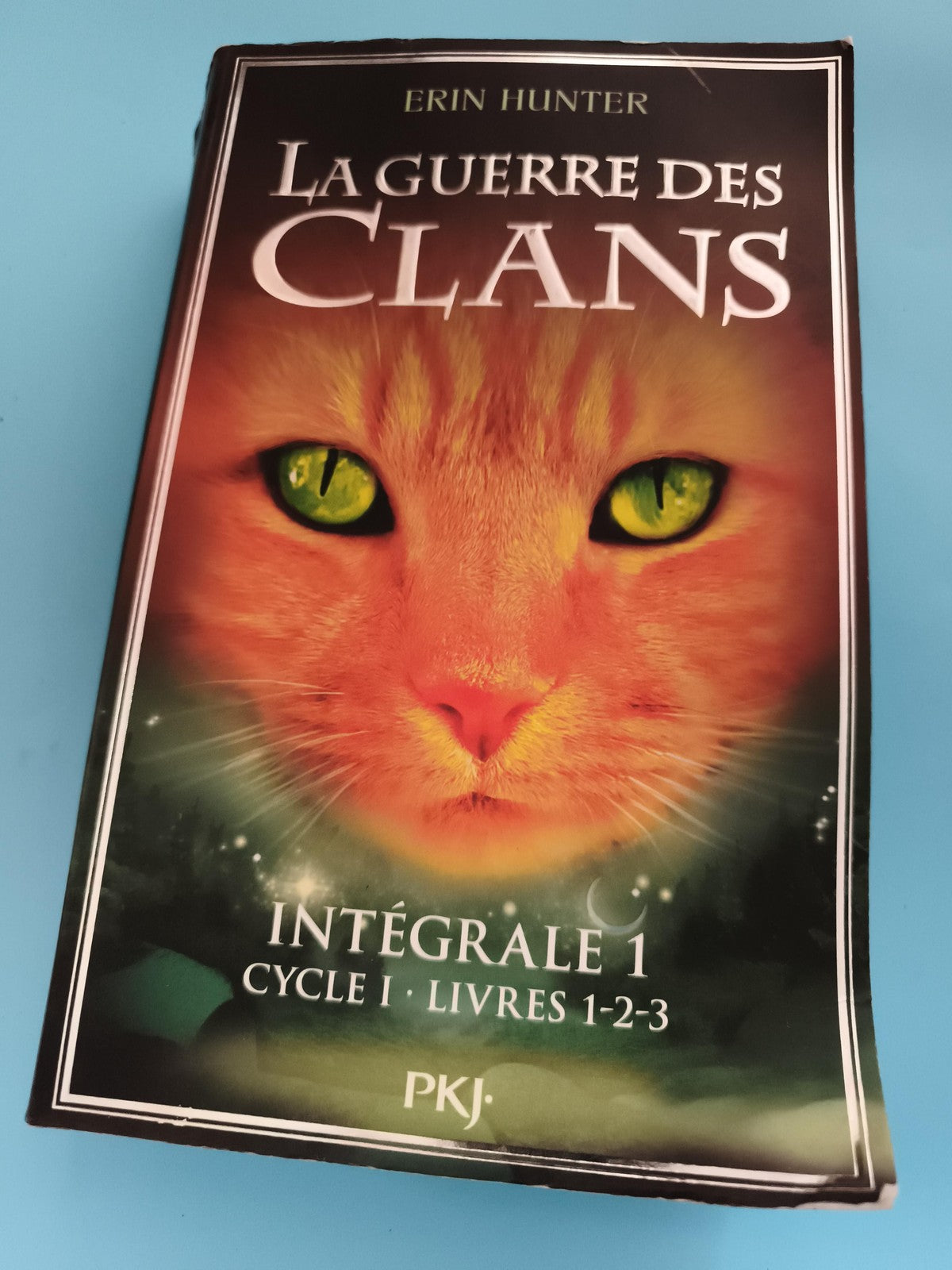 Livre La Guerre des Clans Intégrale 1 Erin Hunter PKJ cycle 1 tomes 1 2 3