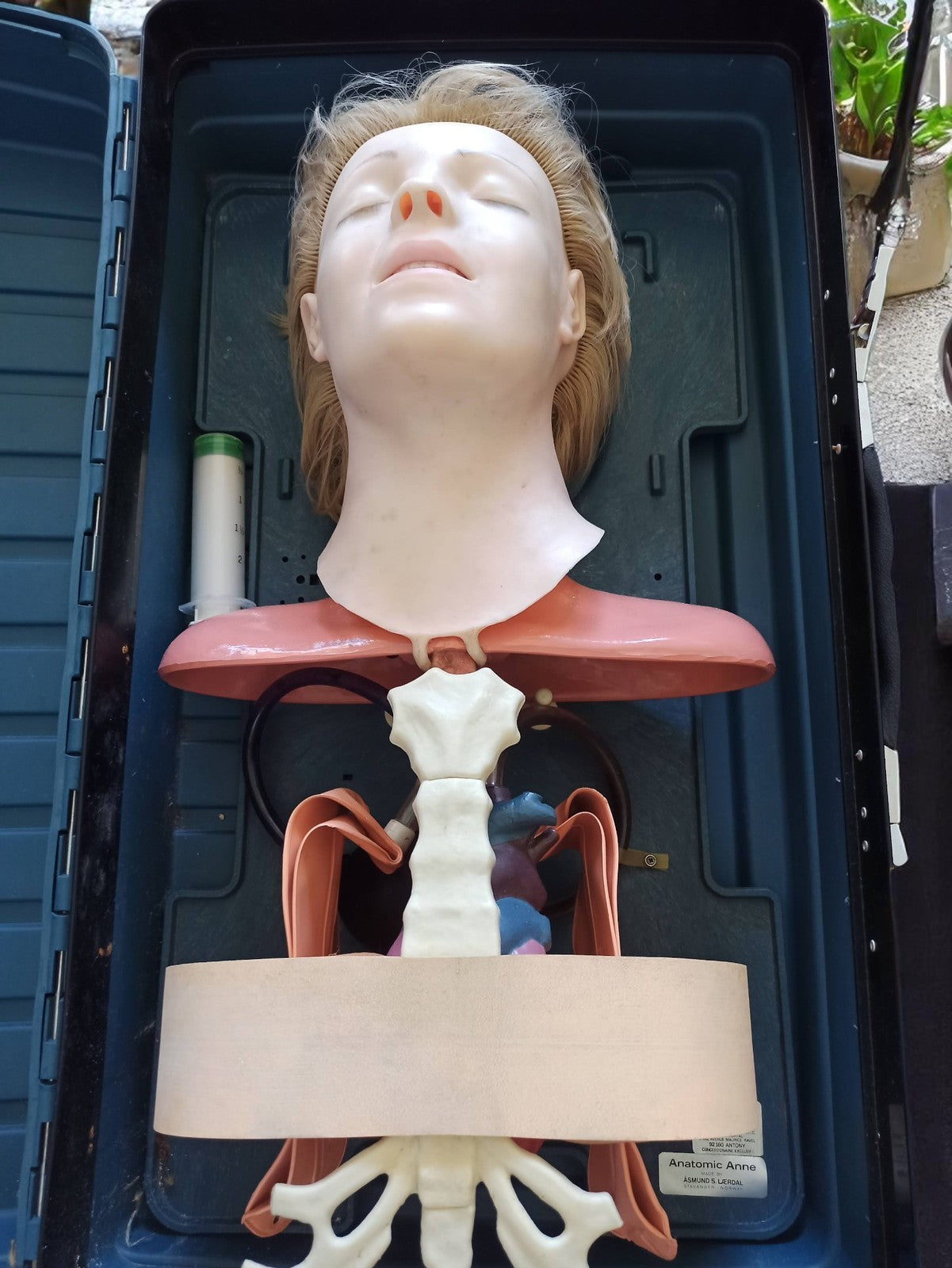 Mannequin anatomique Asmund S. Laerdal Anatomic Anne formation médicale