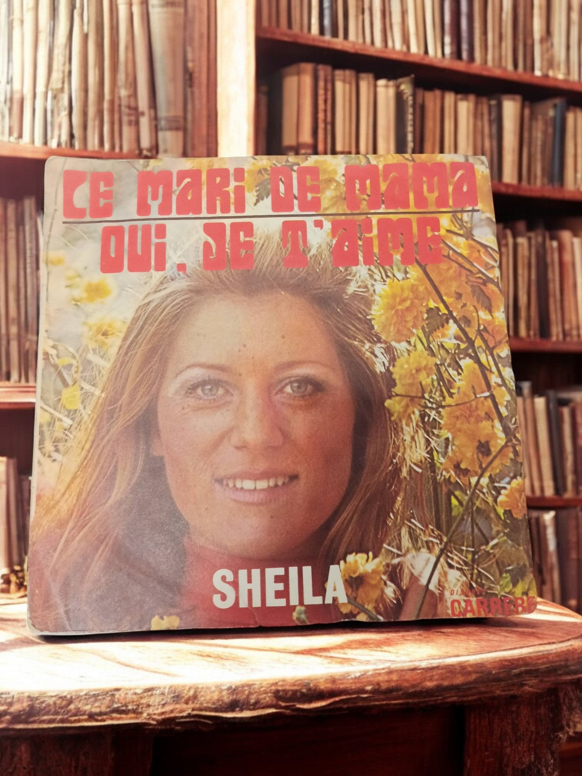 Vinyle 45 tours vintage Sheila ancien disque rétro collection chanson française