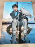 Poster Harry Potter chouette Hedwige ONE bleu cinéma film