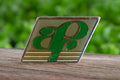 Pin's vintage AP Association Paralysés France logo vert émaillé solidarité