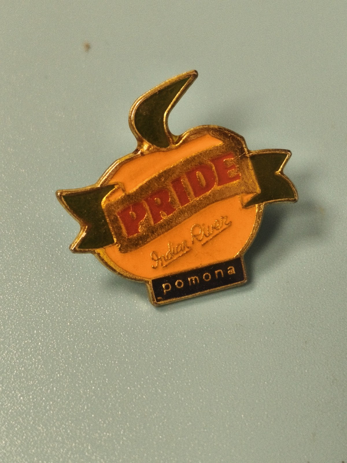 Vintage pin's PRIDE Indian River Pomona orange émaillée collection (ref 10)