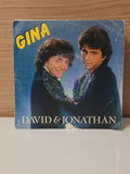 Vinyle 45 tours rétro Gina ancien disque vintage collection musique occasion