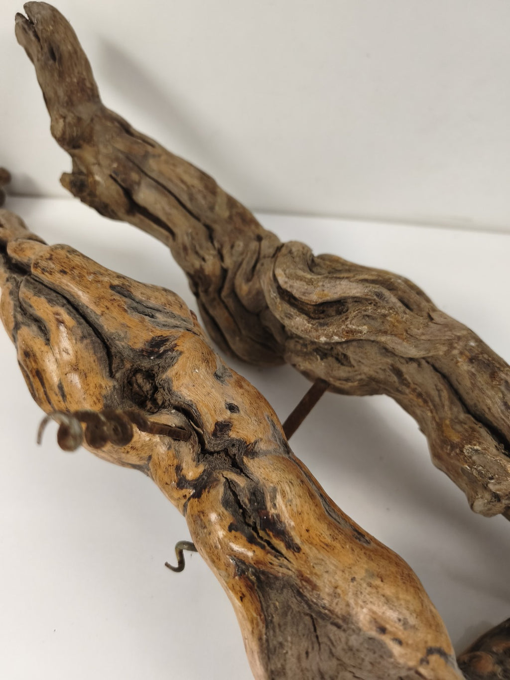Lot de 2 grands tire-bouchons anciens en cep de vigne, vrilles acier