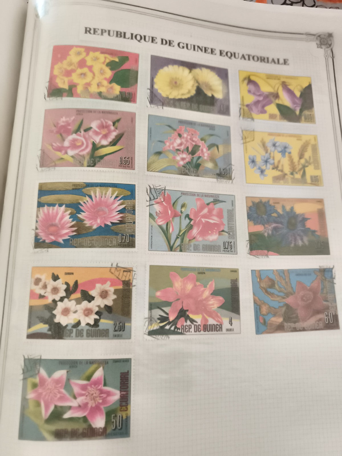 Timbres fleurs Guinée Équatoriale oblitérés lot philatélie florale botanique