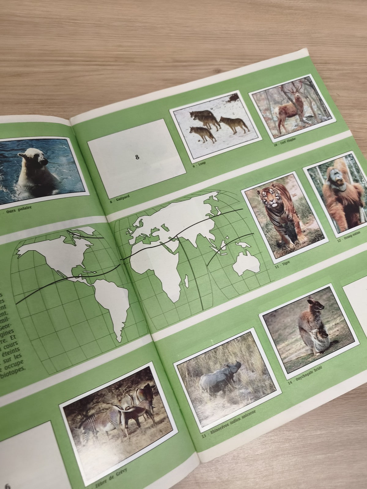 Vintage album Panini WWF Animaux à sauver incomplet collection nature