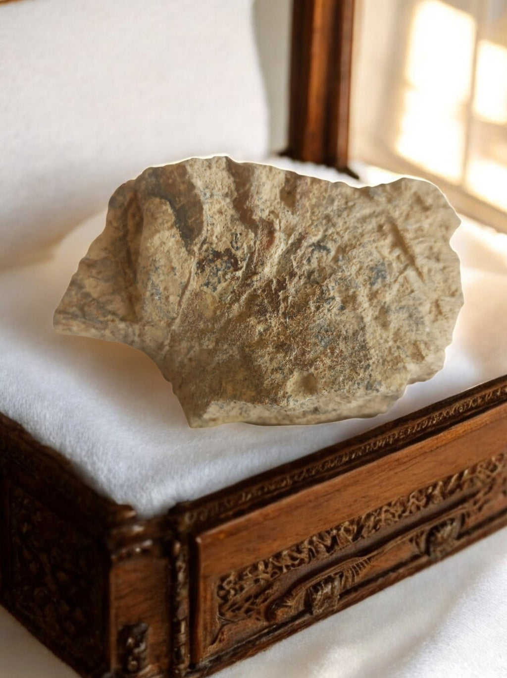 Fragment calcaire ancien, empreinte fossile naturelle, pierre décorative