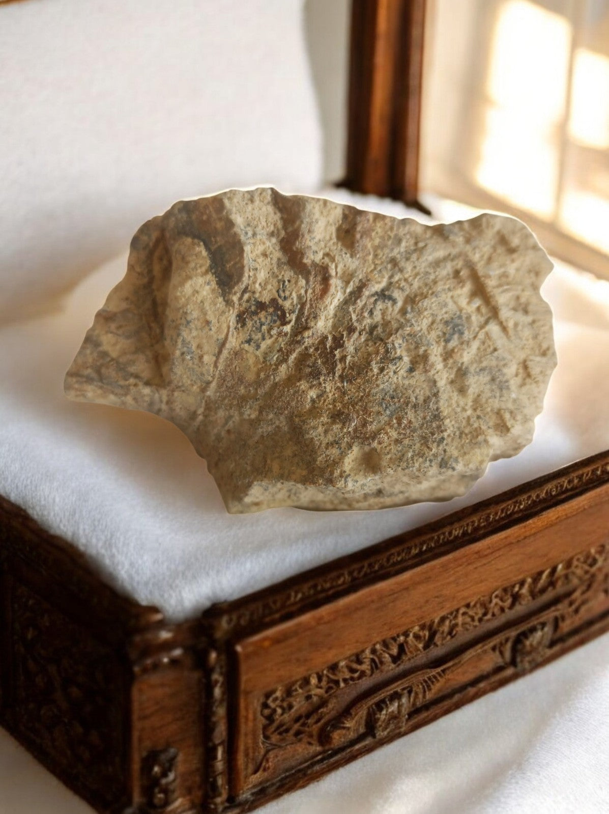 Fragment calcaire ancien, empreinte fossile naturelle, pierre décorative