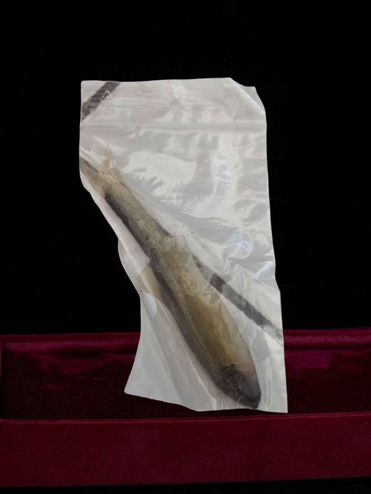 Leurres de pêche vintage ancien, aspect poisson, neuf en sachet, rétro