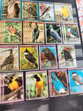 Timbres anciens oiseaux Guinée Équatoriale – lot philatélie nature vintage