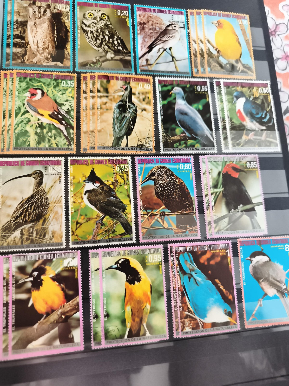 Timbres anciens oiseaux Guinée Équatoriale – lot philatélie nature vintage