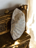 Fragment calcaire ancien empreinte fossile, pierre naturelle relief