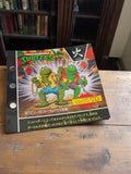 Carte Carddass TMNT vintage Tortues Ninja grenouilles Japan anime