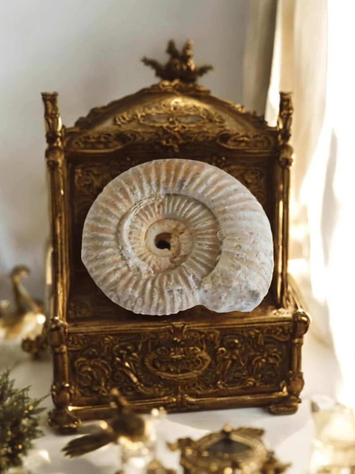 Ammonite fossile Jurassique spirale blanche – coquillage décoratif unique