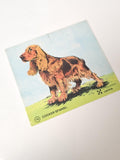 Vintage sticker publicitaire ancien Cocker Spaniel grand format collection déco