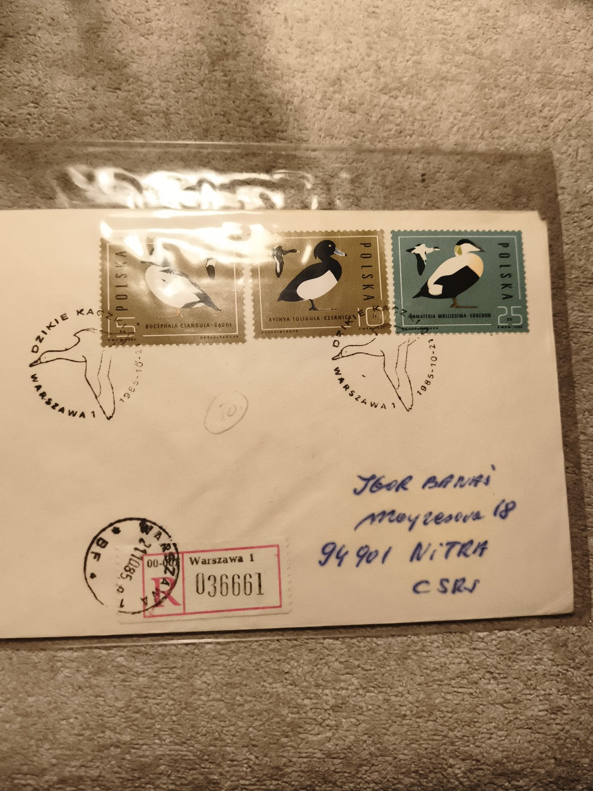 Lettre affranchie Pologne timbres oiseaux 1985 Warszawa ornithologie (Ref 11)