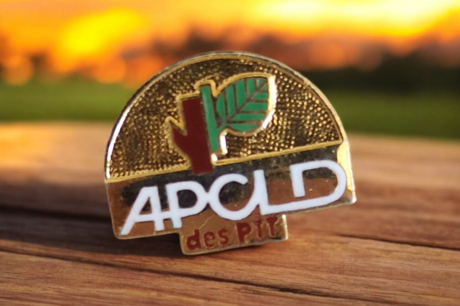Pin's vintage APCLD des Plit rétro doré logo arbre années 80-90