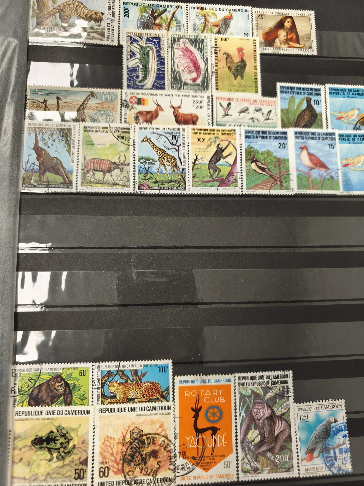 Lot timbres Cameroun animaux oiseaux faune divers, couleurs vives, support non i