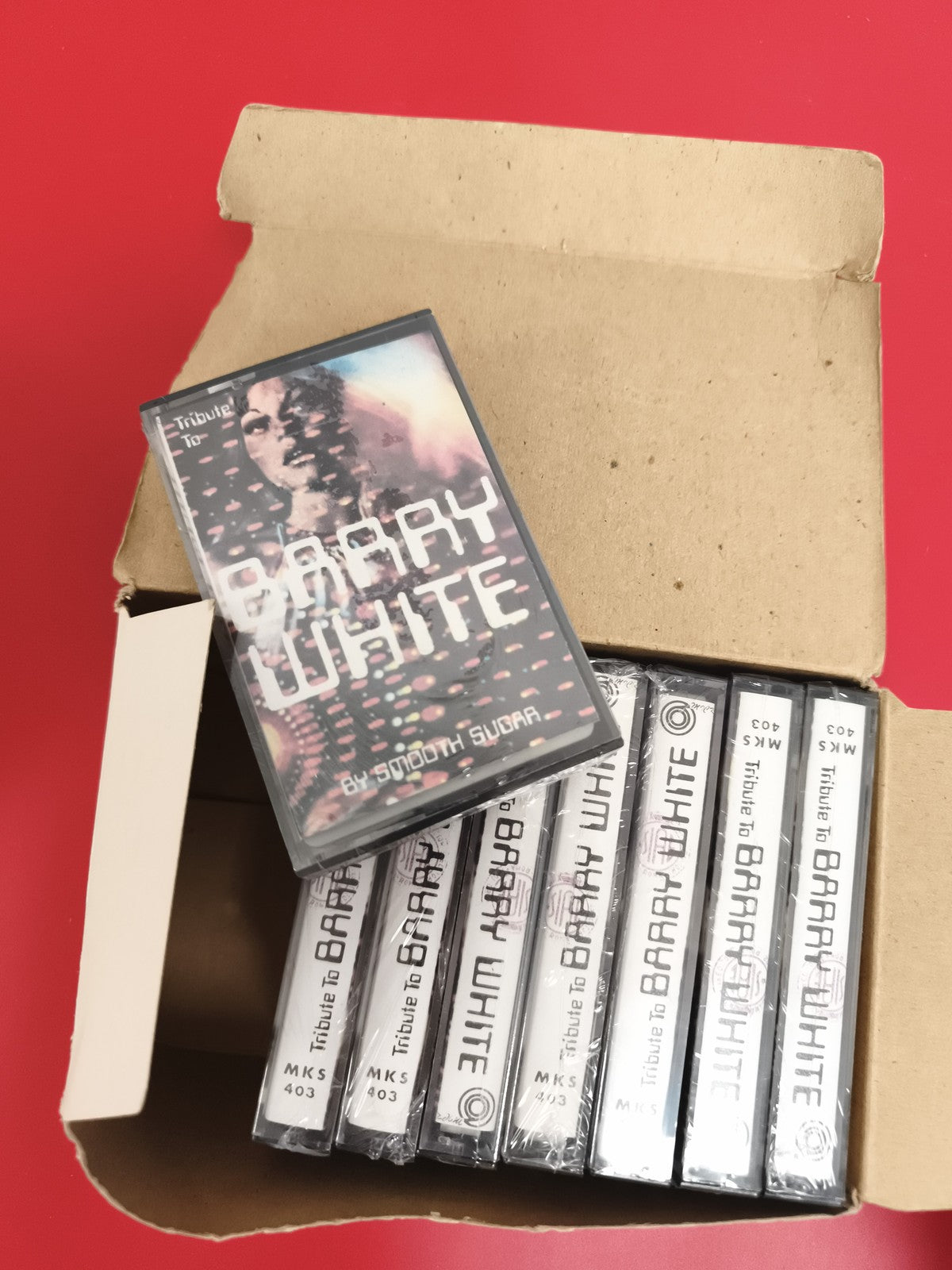 Lot 10 cassettes audio Tribute to Barry White neuves emballées MKS 403