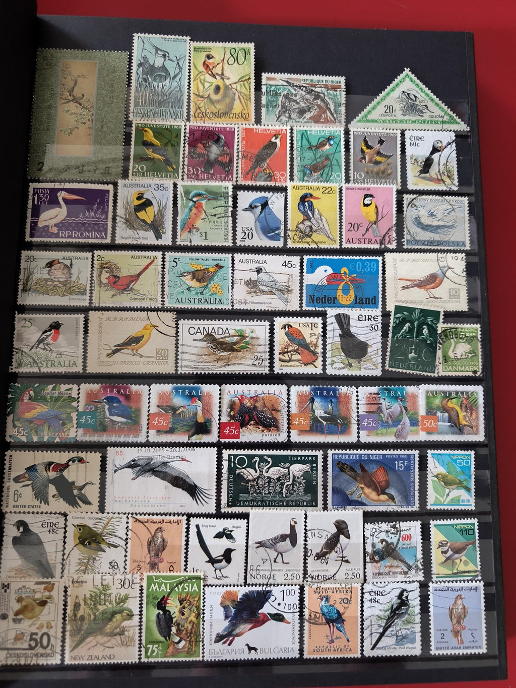 Classeur ancien de timbres oiseaux du monde, collection thématique, multicolore