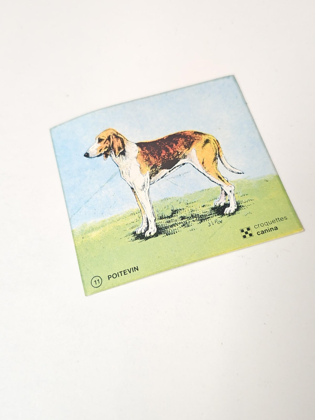 Vintage autocollant publicitaire ancien croquettes Canina rétro collection déco