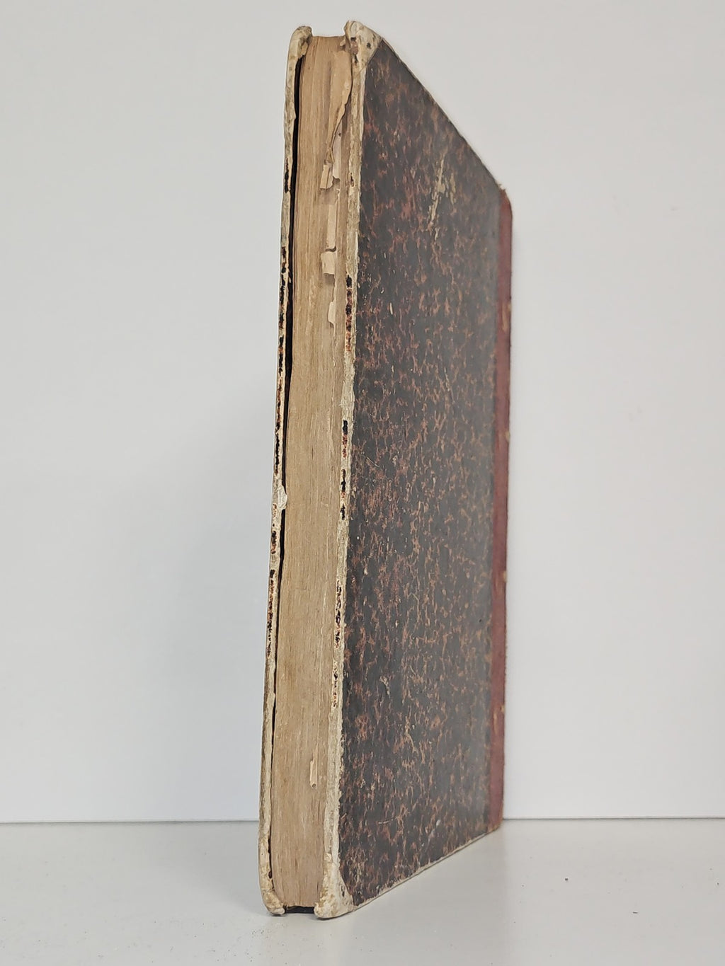 Livre ancien vintage "Musée des familles" édition originale collection XIXe