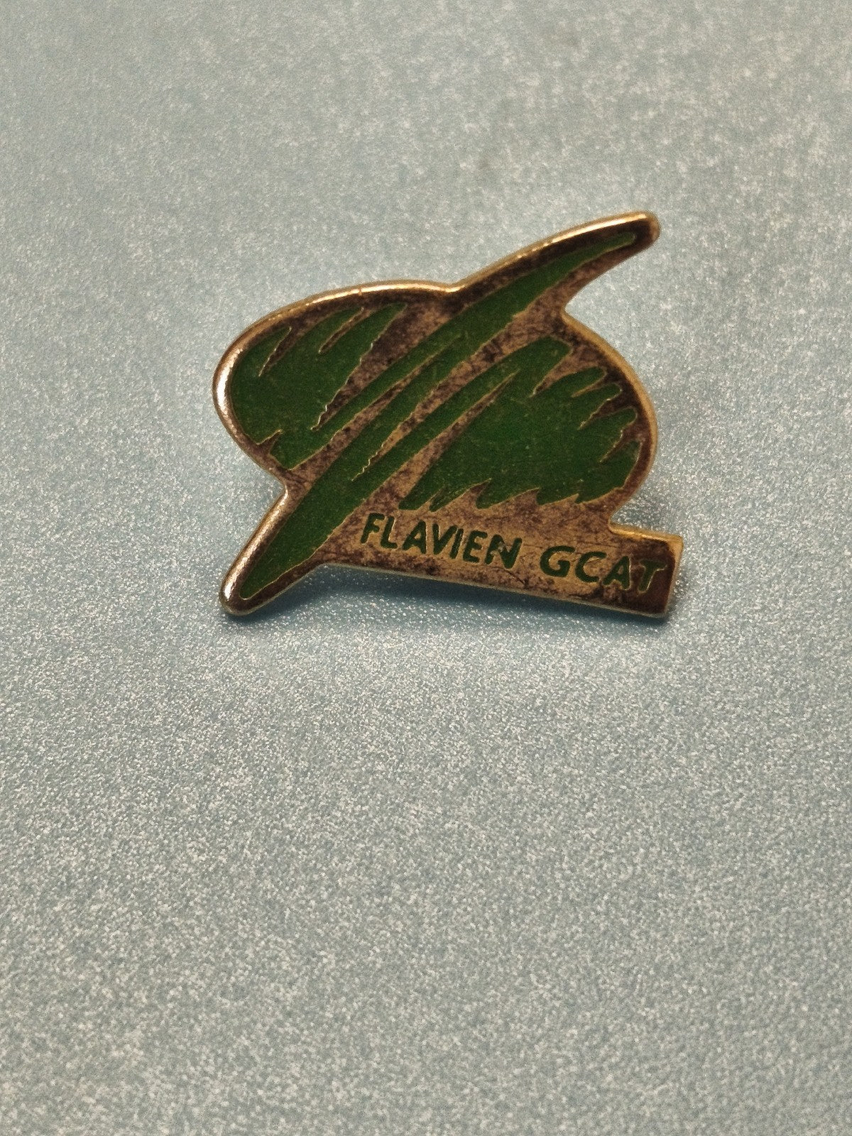 Vintage pin's Flavien GCAT vert logo original collection badge ancien