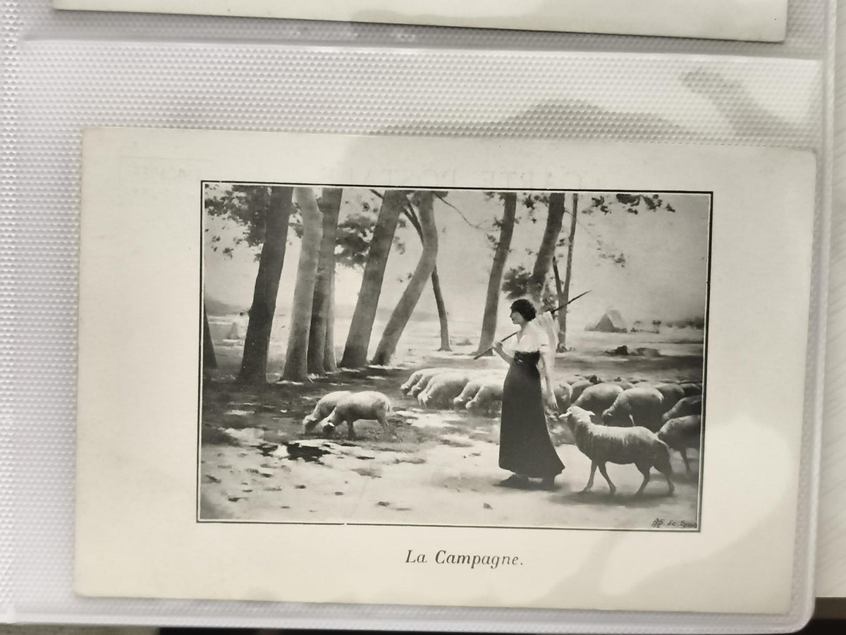 Carte postale ancienne CPA La Campagne bergerie troupeau moutons noir et blanc