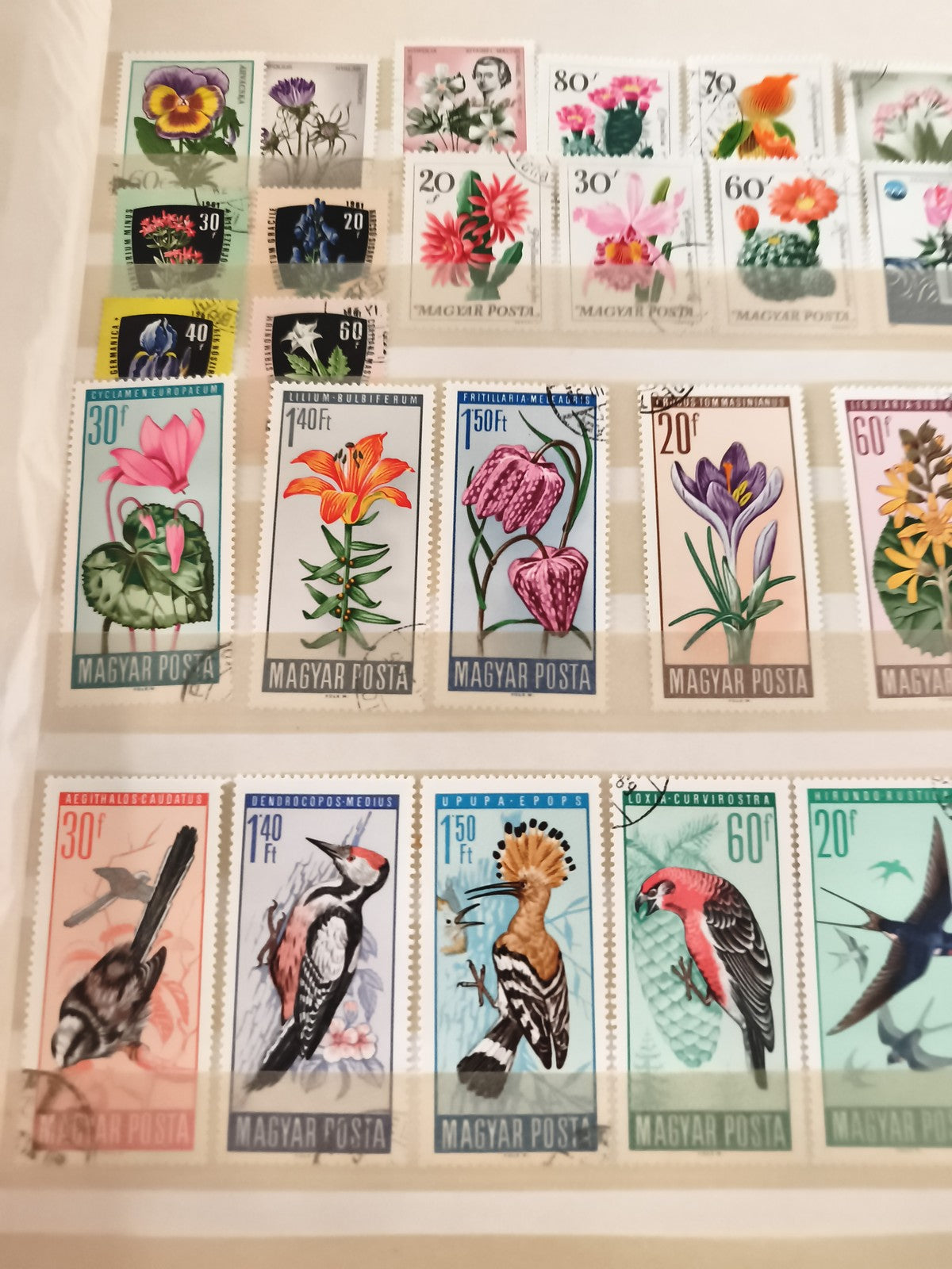 Timbres anciens Hongrie MAGYAR POSTA oiseaux fleurs lot philatélie vintage