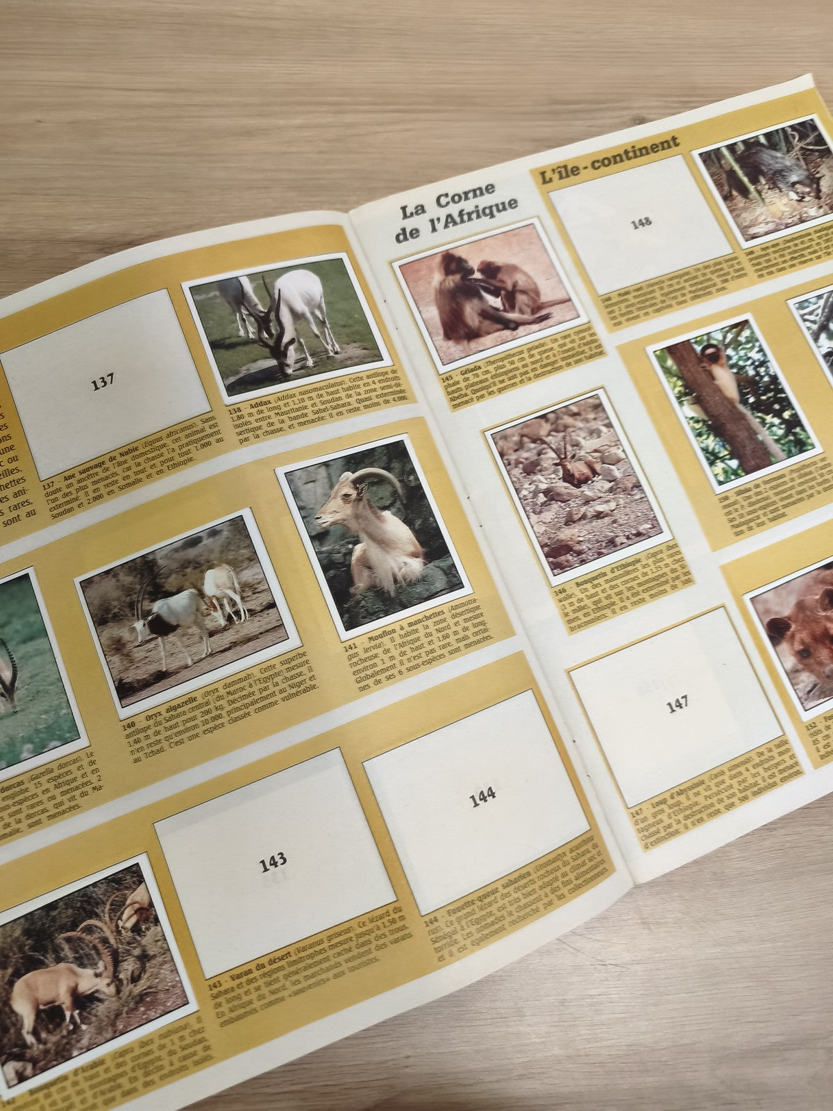 Vintage album Panini WWF Animaux à sauver incomplet collection nature