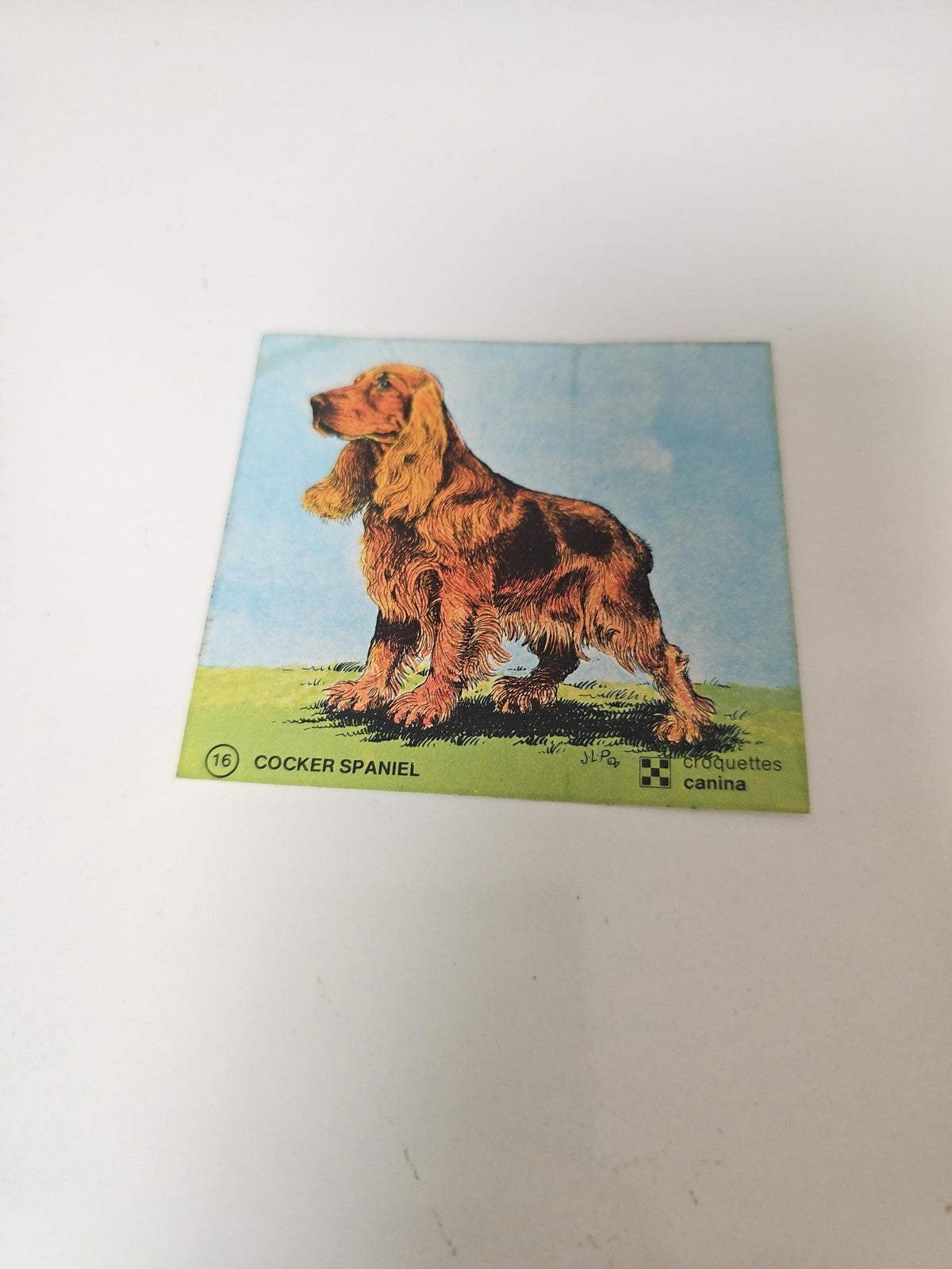 Vintage autocollant publicitaire ancien croquettes Canina déco rétro animalier